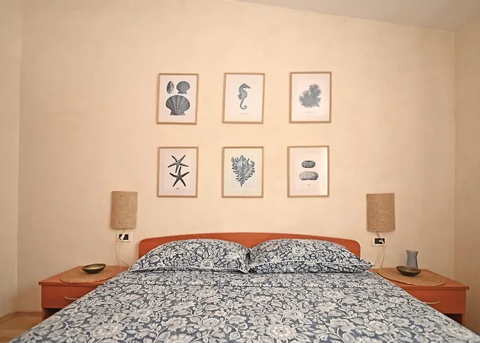 Petar Stojnic Apartamento