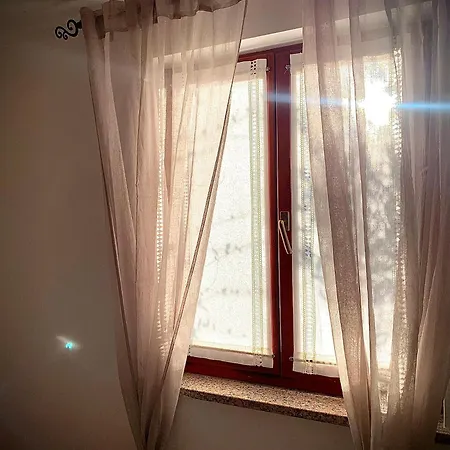 Apartment Petar Stojnic